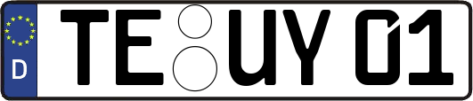 TE-UY01