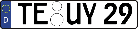 TE-UY29