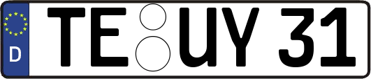TE-UY31