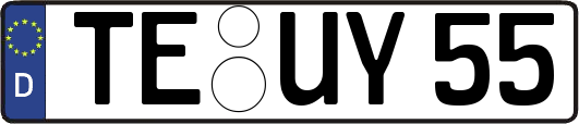 TE-UY55
