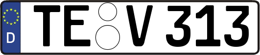 TE-V313