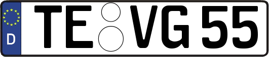 TE-VG55