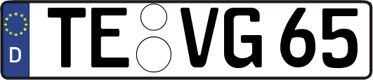 TE-VG65