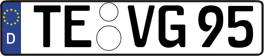 TE-VG95