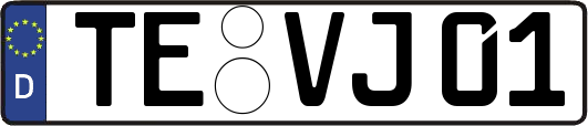 TE-VJ01