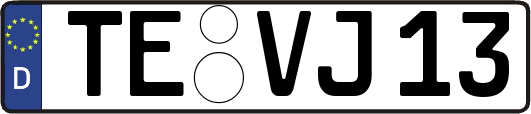 TE-VJ13
