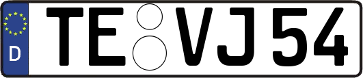 TE-VJ54