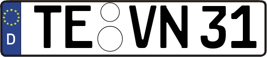 TE-VN31