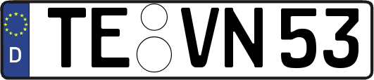 TE-VN53