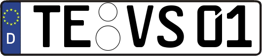 TE-VS01