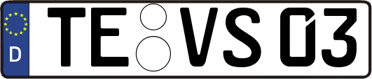 TE-VS03