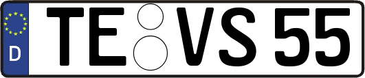 TE-VS55