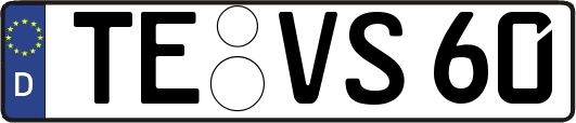 TE-VS60