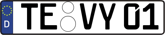 TE-VY01