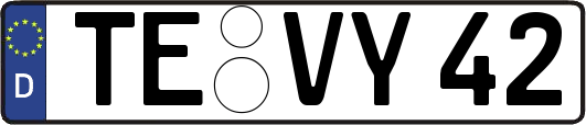 TE-VY42