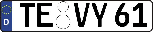 TE-VY61
