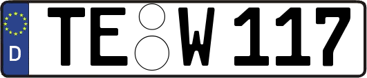 TE-W117