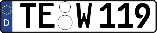 TE-W119