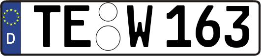 TE-W163