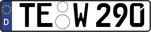 TE-W290