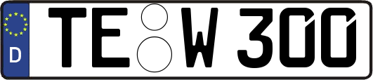 TE-W300