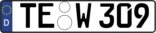 TE-W309