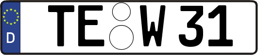 TE-W31