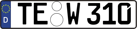 TE-W310