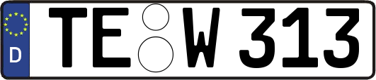 TE-W313