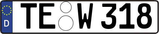 TE-W318