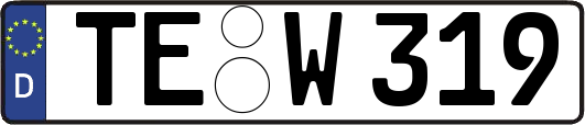 TE-W319