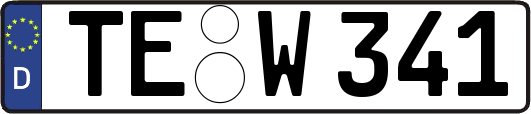 TE-W341