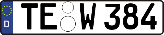 TE-W384