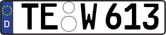 TE-W613