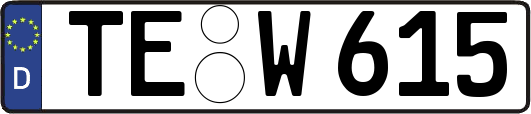 TE-W615
