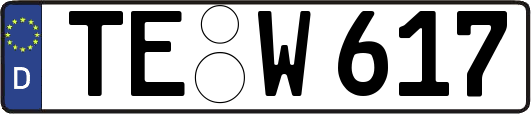 TE-W617