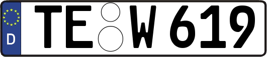 TE-W619