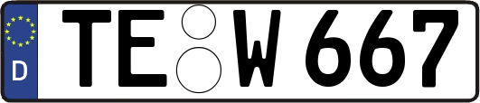 TE-W667