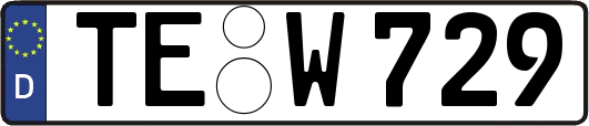 TE-W729