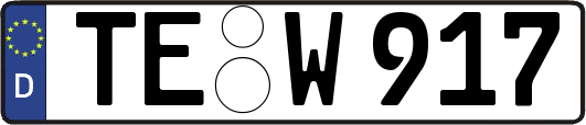 TE-W917