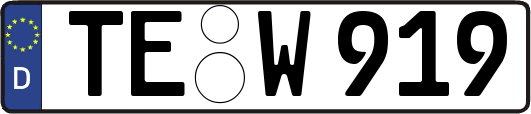 TE-W919