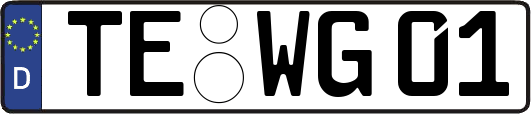 TE-WG01