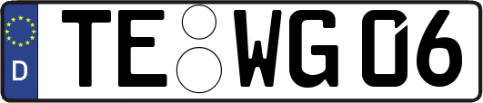 TE-WG06