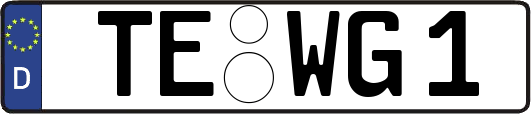 TE-WG1