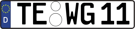 TE-WG11