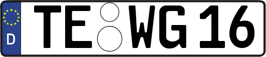 TE-WG16