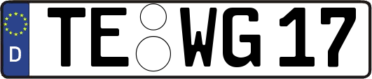 TE-WG17