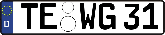 TE-WG31