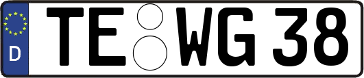 TE-WG38