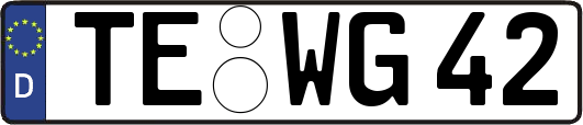 TE-WG42